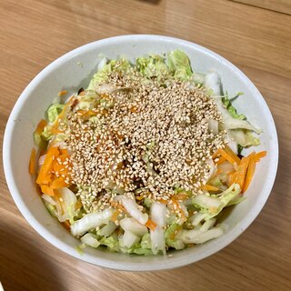 胡麻たっぷりの中華ドレッシングサラダ